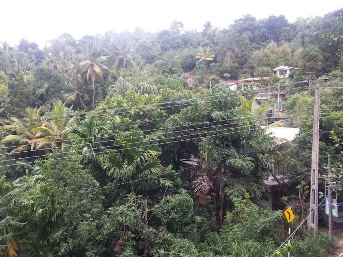 Greenwood Kandy Homestay Экстерьер фото