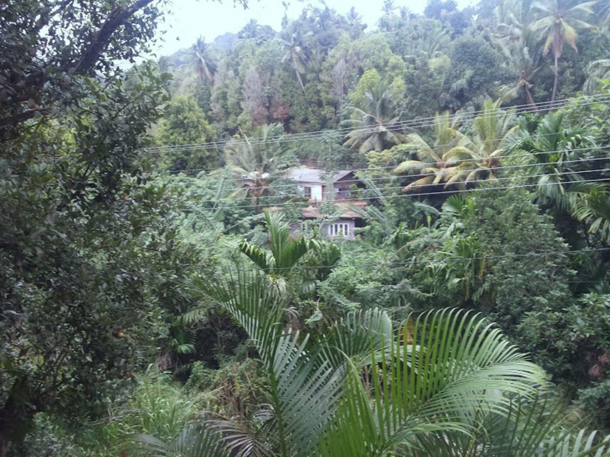 Greenwood Kandy Homestay Экстерьер фото